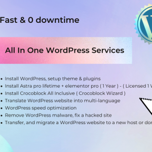 All In One WordPress Services